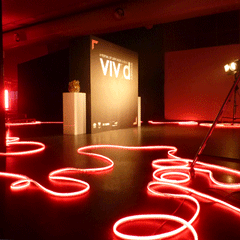 Vivid festival